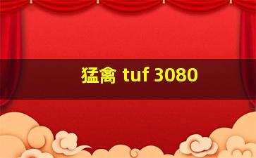 猛禽 tuf 3080